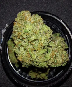 Amnesia Haze