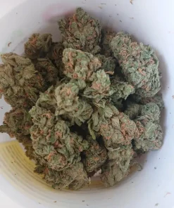 Blue Dream